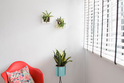 Quiz: What Color Palette Should You Use for Your Next Home Remodel?